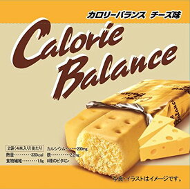 楽天市場 カロリーメイト 10箱 送料無料の通販