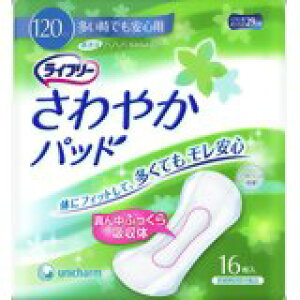 ySzjE`[ЃCt[@₩pbhłSp@16×12pbNy[J[îߑł܂z