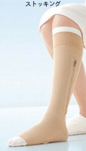 et@Xi[tXgbLOJOBSTiWuXgjyÌz AT[PAJP-LU14485SLTCYFSE@FFTh(XgbLO)1{A(Ci[)2{i܂7`14łE