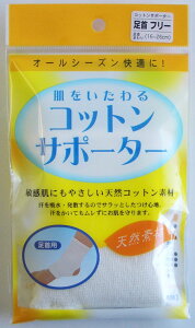 y|Cg13{zeR[|[VRbgT|[^[ FyRCPzykCE͕ʓrKvz