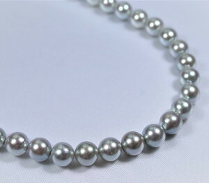 {YARp[lbNX(O[J[)F7.5-8~@(O[p[lbNXAO[J[Ap[lbNXA^lbNXAlbNXAARlbNXAARp[l