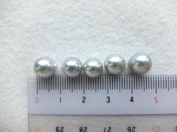 楽天市場】日本産アコヤパールルース：8ミリ珠(片穴、グレー)-(あこや