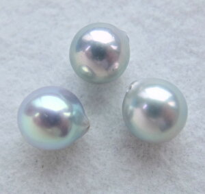 yʂ蔄z{YARp[[XF9~(ЌAO[)-(^샋[XAAR^샋[XA|p[XAp[[XA[XAp[A^샋[X)