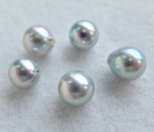 yʂ蔄z{YARp[[XF8~(ЌAO[)-(^샋[XAAR^샋[XA|p[XAp[[XA[XAp[A^샋[X)