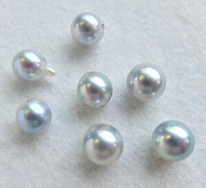 yʂ蔄z{YARp[[XF7~(ЌAO[)-(^샋[XAAR^샋[XA|p[XAp[[XA[XAp[A^샋[X)