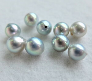 yʂ蔄z{YARp[[XF6~(ЌAO[)-(^샋[XAAR^샋[XA|p[XAp[[XA[XAp[A^샋[X)