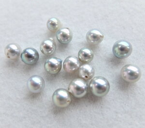 yʂ蔄z{YARp[[XF5~(ЌAO[)-(^샋[XAAR^샋[XA|p[XAp[[XA[XAp[A^샋[X)