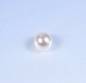 {YARp[[Xi8|8.5~j-Ќ-@(^샋[XAAR^샋[XA|p[XAp[[XA[XAp[A^샋[X)