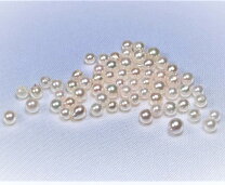 楽天市場】あこや真珠 片穴の通販 アコヤパール本真珠片穴4mm 20pcs