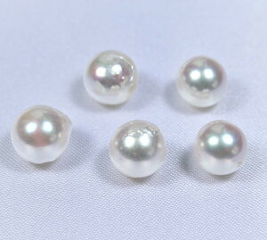 yʂ蔄z{YARp[[X()F8~@(^샋[XAAR^샋[XA|p[XAp[[XA[XAp[A^샋[X)