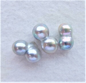 {YARp[[X(̃cCAi`J[)F~bNXTCY@(^샋[XAAR^샋[XA|p[XAp[[XA[XAp[A^샋[X)