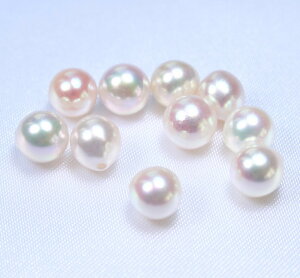 yʂ蔄z{YARp[[X(Ќ)F6~@(^샋[XAAR^샋[XA|p[XAp[[XA[XAp[A^샋[X)