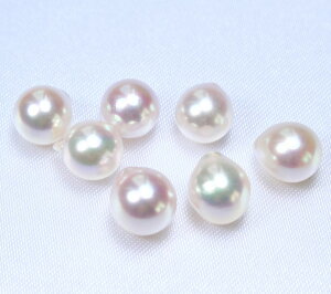 yʂ蔄z{YARp[[X(Ќ)F7~@(^샋[XAAR^샋[XA|p[XAp[[XA[XAp[A^샋[X)