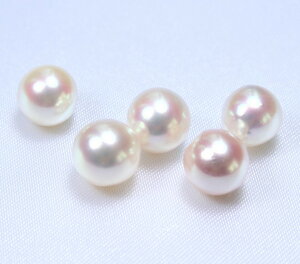 yʂ蔄z{YARp[[X(Ќ)F8~@(^샋[XAAR^샋[XA|p[XAp[[XA[XAp[A^샋[X)