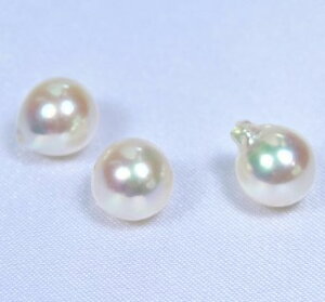 yʂ蔄z{YARp[[X(Ќ)F9~@(^샋[XAAR^샋[XA|p[XAp[[XA[XAp[A^샋[X)