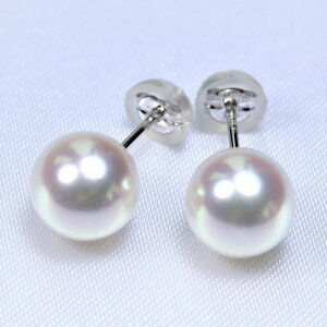 ŏ㋉i!{YAR^sAXF8|8.5~@@i^sAXAp[sAXA^sAXAasAXAARp[A^AAR^AaA{^)