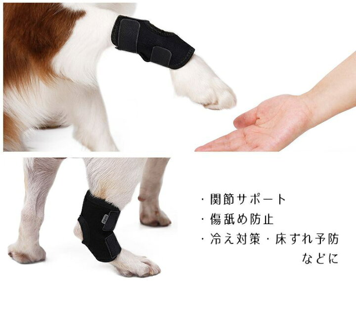 楽天市場 送料無料 関節サポーター ペット用 犬用 猫用 単品 プロテクター ショートタイプ 関節サポート 固定 リハビリ 床ずれ予防 冷え防止 マジックテープ 調節可能 飛節 かかと 後肢 前肢 後ろ足 前足 ケア用品 老犬介護 介護用品 シニア 肘当て 腕 老 Dolcissimo