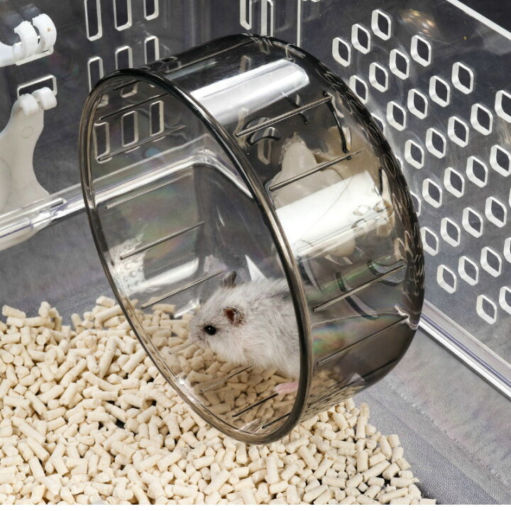 楽天市場 送料無料 小動物用回し車 ホイール ハムスター ネズミ ペット用品 直径13cm ペットトイ おもちゃ 運動不足解消 肥満対策 ストレス発散 走る ランニング 回し車 ペットグッズ 玩具 Dolcissimo