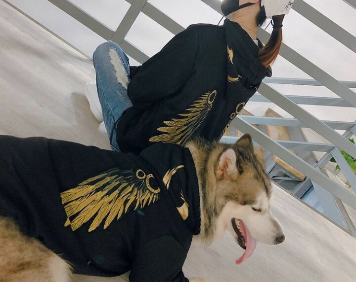 楽天市場 送料無料 ドッグウエア パーカー ペットウェア 犬服 飼い主とお揃い ペアルック 中型犬 大型犬 翼 天使の羽根 モチーフ かっこいい おしゃれ クール カジュアル ワッペン フード パーカ 黄 黒 Dolcissimo
