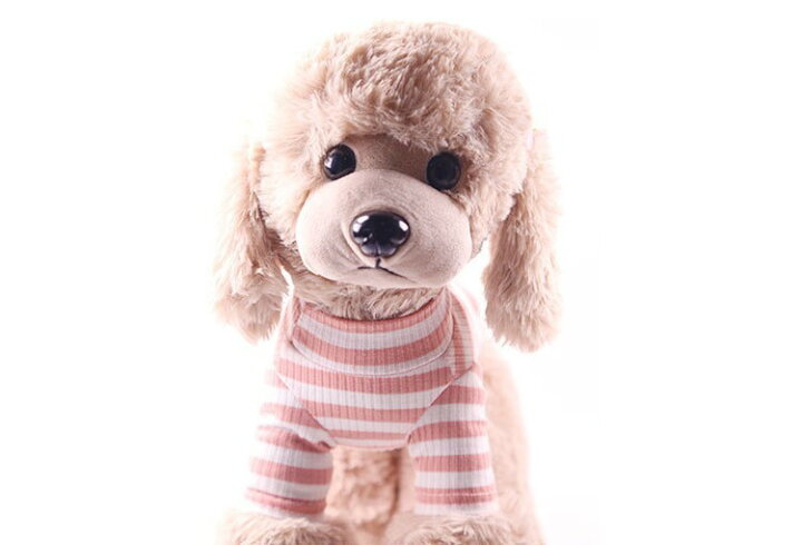 楽天市場】送料無料 ドッグウェア カットソー 犬服 洋服 ペット用品 ペットウェア 犬用 猫用 小型犬 ボーダー 無地 シンプル リブ 長袖 ハイネック 散歩 お出かけ ペットグッズ いぬグッズ イヌ用 : dolcissimo 楽天市場】送料無料 ドッグウェア カットソー 犬服 洋服 ペット用品 ペットウェア 犬用 猫用 小型犬 ボーダー 無地 シンプル リブ 長袖 ハイネック 散歩 お出かけ ペットグッズ いぬグッズ イヌ用 : dolcissimo
