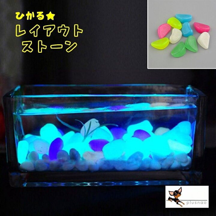 楽天市場 送料無料 水槽用 レイアウトストーン 50個入り 底床 光る 夜光 暗闇 水槽用レイアウト アクアリウムデコレーション 水槽内インテリア アクセサリー 水槽用品 レイアウト用品 装飾グッズ 内装 飾り おしゃれ カラフル 観賞魚 熱帯魚 メダカ 金魚 ペ Dolcissimo 楽天市場 送料無料 水槽用 レイアウトストーン 50個入り 底床 光る 夜光 暗闇 水槽用レイアウト アクアリウムデコレーション 水槽内インテリア アクセサリー 水槽用品 レイアウト用品 装飾グッズ 内装 飾り おしゃれ カラフル 観賞魚 熱帯魚 メダカ 金魚 ペ Dolcissimo