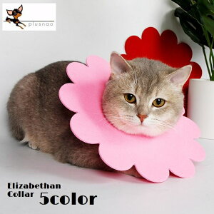  GUxXJ[ Lp p ybgpi ybgObY PApi rߖh~ Ђh~ ی p  畆a  t[ 킢 Lbg hbO  ^