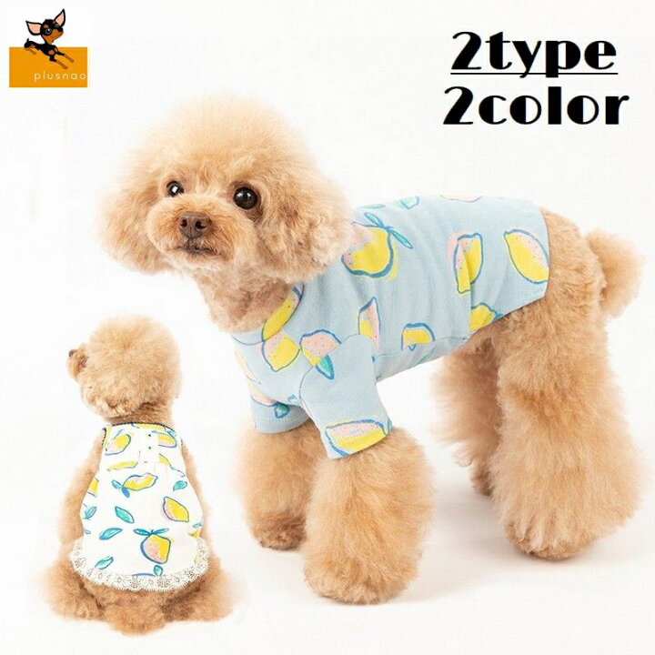 楽天市場 送料無料 ドッグウェア ペットウェア カットソー キャミソールワンピース 犬の服 犬服 猫の服 洋服 ペット用品 小型犬 Tシャツ チュニック レモン柄 レース お散歩 お出かけ おしゃれ かわいい いぬ ねこ Dolcissimo 楽天市場 送料無料 ドッグウェア ペットウェア カットソー キャミソールワンピース 犬の服 犬服 猫の服 洋服 ペット用品 小型犬 Tシャツ チュニック レモン柄 レース お散歩 お出かけ おしゃれ かわいい いぬ ねこ Dolcissimo