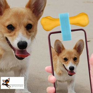  B Nbv ybgpi ybgObY p Lp Ck lR ZtB[ ʐ^ Be⏕ X}zp Jڐ ZJ_ X}[gtH