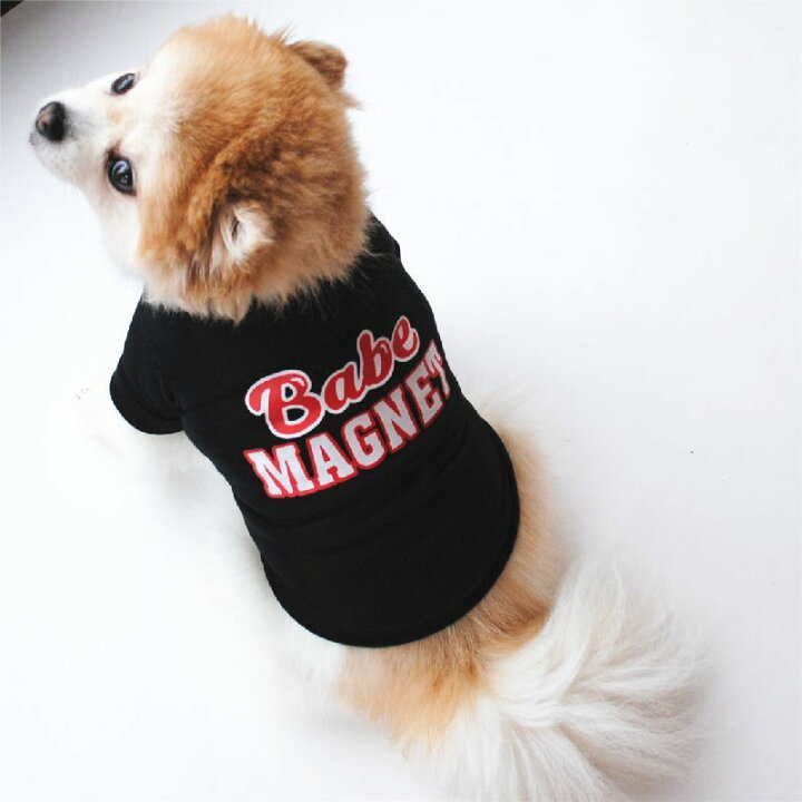 21セール ペット用 犬 ドッグウェア 犬用 洋服 プルオーバー 半袖 犬用ウェア かっこいい おしゃれ 犬の洋服 プリント 英字 英語 ロゴ グレー 犬用洋服 Shipsctc Org
