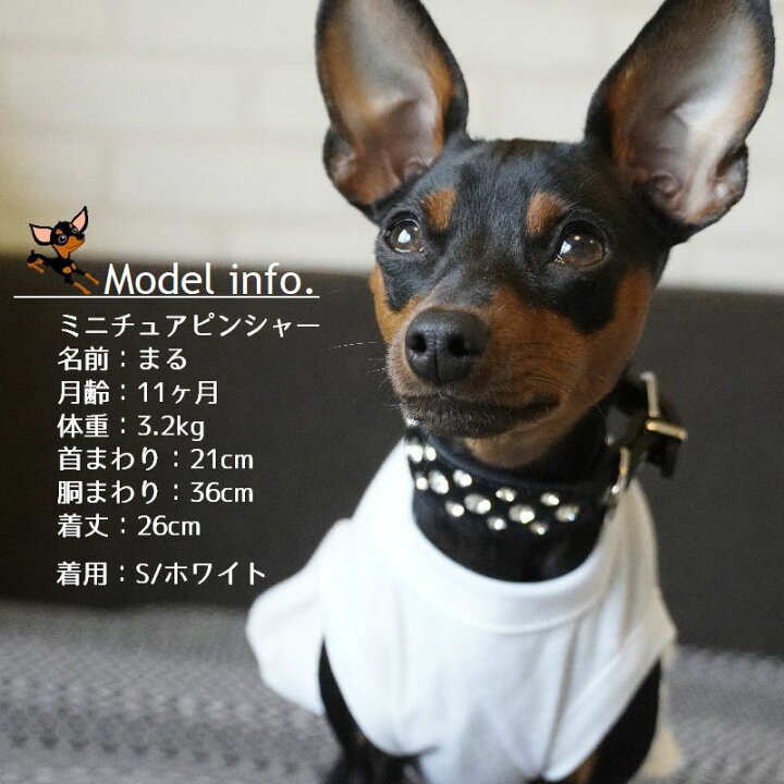 楽天市場 送料無料 ドッグウェア キャットウェア 犬 猫 犬服 猫服 犬用ウェア 猫用ウェア 犬の服 猫の服 ペットウェア ペット服 犬用品 ペット用品 ペプラム タンクトップ ワンピース ノースリーブ 袖なし 無地 かわいい フリル 丸首 薄手 白 黒 赤 青 Dolcissimo