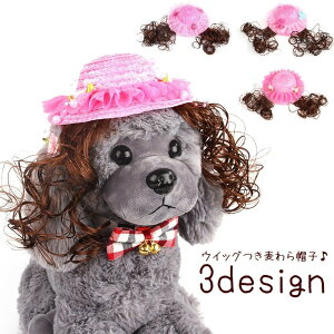  ybgpXq ECbOt Xg[nbg hbOEFA ^ ^ L  [X t[  o    ̖ ybgObY sN