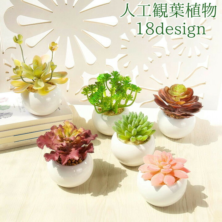 楽天市場 送料無料 人工観葉植物 フェイクグリーン 造花 多肉植物 ミニサイズ インテリア 装飾 窓際 リビング ガーデニング ガーデン おしゃれ ギフト 贈り物 プレゼント Dolcissimo