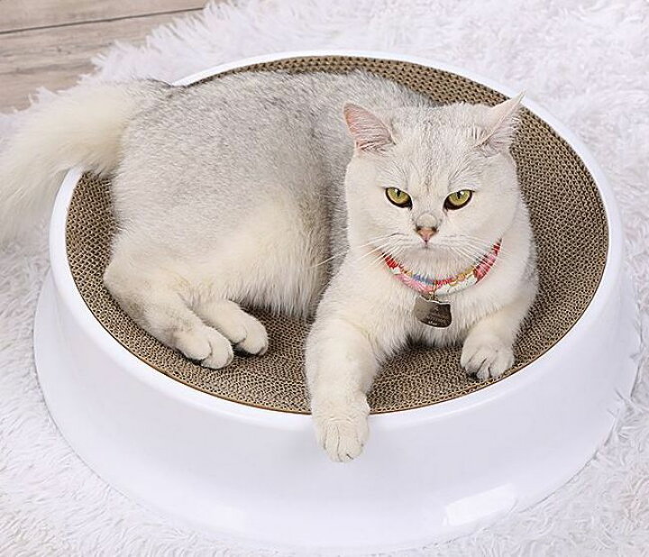 テレビで話題 猫用爪とぎ つめ研ぎ 段ボール ダンボール ペット用品 丸型 分解できる 外せる ベッド ハウス シンプル おしゃれ 爪みがき 遊び Zurique Com Br テレビで話題 猫用爪とぎ つめ研ぎ 段ボール ダンボール ペット用品 丸型 分解できる 外せる ベッド ハウス シンプル おしゃれ 爪みがき 遊び Zurique Com Br
