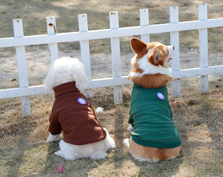 楽天市場 送料無料 ジャージ ペット服 L 3xl 小型犬 中型犬 ペット用品 わんちゃん用 犬用品 ドッグウェア 袖あり ハイネック スポーティ Dolcissimo