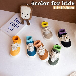  Xj[J[ V[Y LbY qp j̎q ̎q C  \bNXV[Y \bNX RC Vv  JWA o ig JoLx  j qC