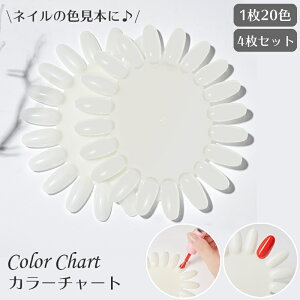 サロン ネイル カラーチャートの人気商品 通販 価格比較 価格 Com