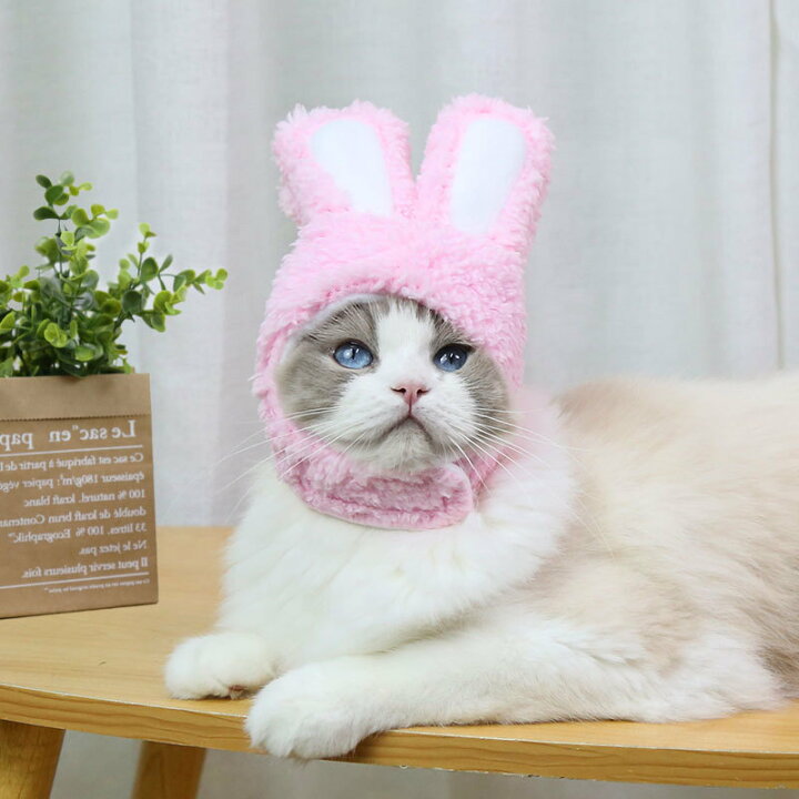楽天市場】送料無料 ペット用帽子 コスプレ 猫 小型犬 かぶり物 ペット用品 猫用品 犬用品 ペットグッズ 頭巾 キャップ ウサギ ウサ耳 防寒 仮装 ハロウィン イベント パーティ 撮影会 : dolcissimo 楽天市場】送料無料 ペット用帽子 コスプレ 猫 小型犬 かぶり物 ペット用品 猫用品 犬用品 ペットグッズ 頭巾 キャップ ウサギ ウサ耳 防寒 仮装 ハロウィン イベント パーティ 撮影会 : dolcissimo