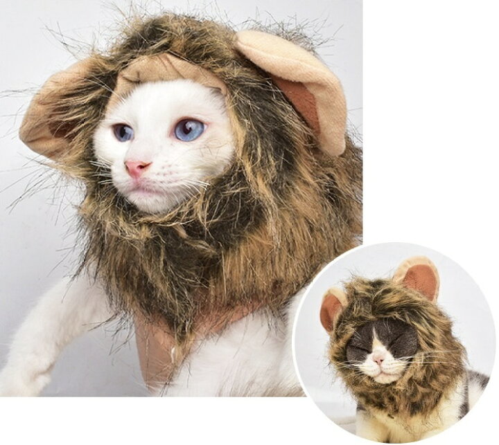 楽天市場】送料無料 ペット用帽子 コスプレ 猫 犬 かぶり物 ぼうし ライオン おもしろ コスチューム たてがみ マジックテープ 仮装 可愛い 暖かい キャット ドッグ イベント パーティ 撮影会 記念撮影 ペット用品 猫用品 犬用品 ペットグッズ コスプレグッズ : dolcissimo 楽天市場】送料無料 ペット用帽子 コスプレ 猫 犬 かぶり物 ぼうし ライオン おもしろ コスチューム たてがみ マジックテープ 仮装 可愛い 暖かい キャット ドッグ イベント パーティ 撮影会 記念撮影 ペット用品 猫用品 犬用品 ペットグッズ コスプレグッズ : dolcissimo