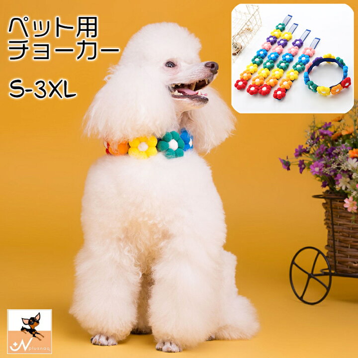 楽天市場 送料無料 ペット用チョーカー 首飾り アクセサリー 犬用 猫用 小型犬 フラワー お花 おしゃれ かわいい カラフル 面ファスナー おめかし お散歩 お出かけ ギフト プレゼント いぬ イヌ ネコ ネコ キャットグッズ Dolcissimo
