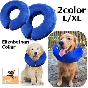 エリザベスカラー 大型犬 犬用健康管理用品 犬用健康管理用品の人気商品 通販 価格比較 価格 Com