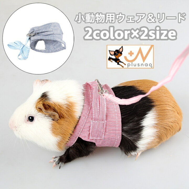 楽天市場】送料無料 小動物用 ペットウェア リード ハーネス 2点セット 