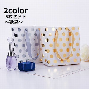 送料無料 紙袋 5枚セット 手提げ袋 ギフト用袋 ドット ペーパーバッグ かわいい 誕生日 記念日 母の日 父の日 パーティー プレゼント ギフト