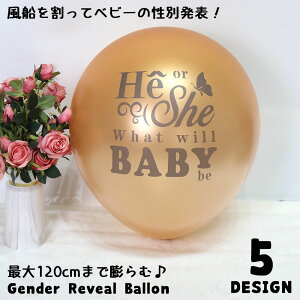  WF_[r[o[ D  Ԃ j̎q ̎q ʔ\ TvCY RtFbeB p[eB[ xr[V[