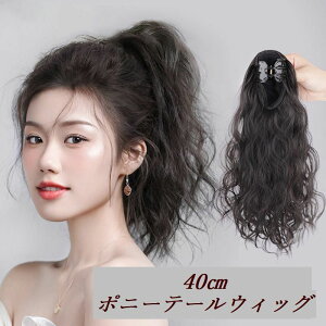  |CgEBbO fB[X |j[e[ GNXe OwA oXNbv EBbO  t wAAW