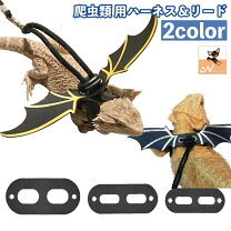 楽天市場】ペット用品爬虫類の通販