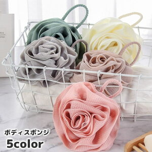  {fBX|W oXX|W oXpi ObY oXObY Ԍ^ o {fB^I Aălbg {fBPA 킢  ̐