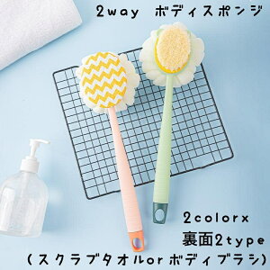  {fBX|W  2way  V[uV {fBuV XNu^I Ǌ| ݂邹 CObY 킢