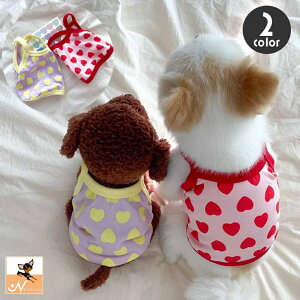  hbOEFA L~\[ ybgpi  L ^ m n[g   킢  Ȃ o U JWA fC[ vI[o[ Ck  lR 