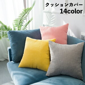  NbVJo[ Pi Jo[̂ 45cm ` lp` XNGA Vv n k \t@[NbV Q rO  CeAt@ubN