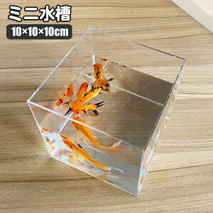 送料無料 ミニ水槽 ペット用品 インテリア ディスプレイ 四角 スクエア クリア シンプル アクアリウム 水族館 金魚 魚 アクリル 小さめ 卓上 コンパクト おしゃれ